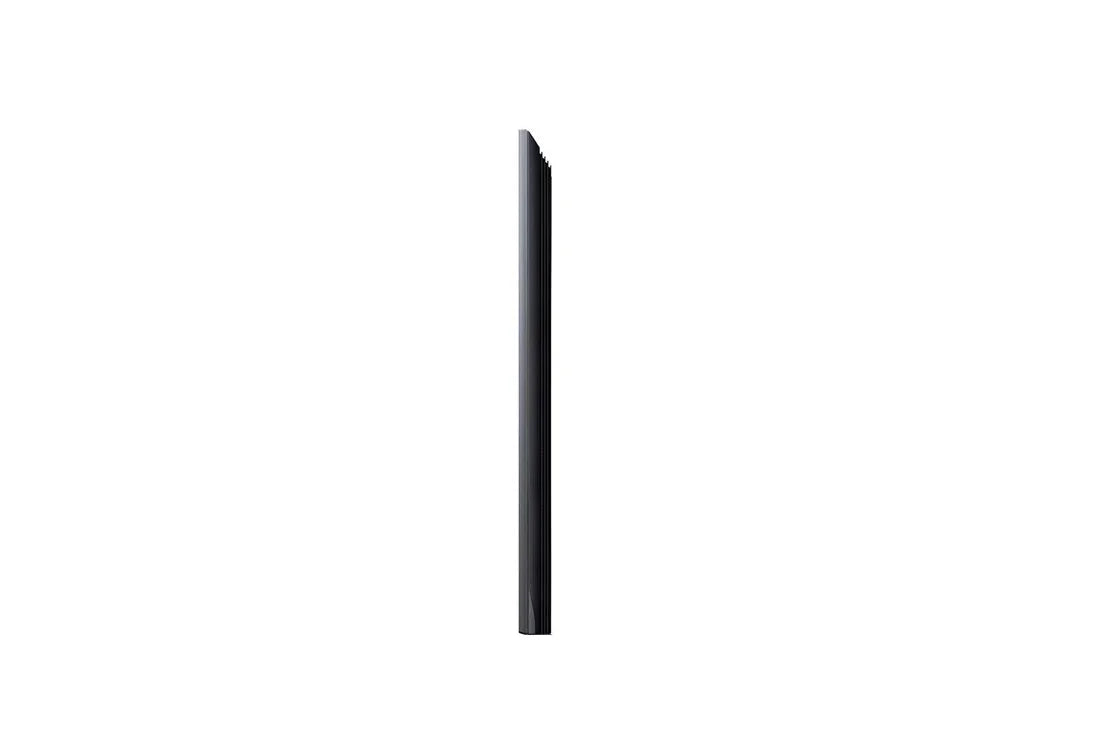 65" LG by MirageVision 8K Partial Sun Outdoor Smart TV